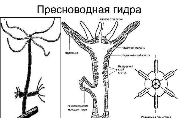 Кракен это даркнет