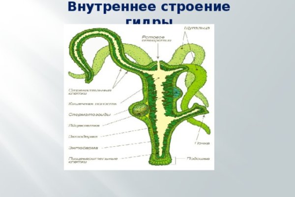 Кракен купить меф